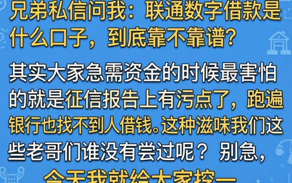 联通数字借款是什么口子，鼎力推荐5个不看征信网贷平台放款快的口子