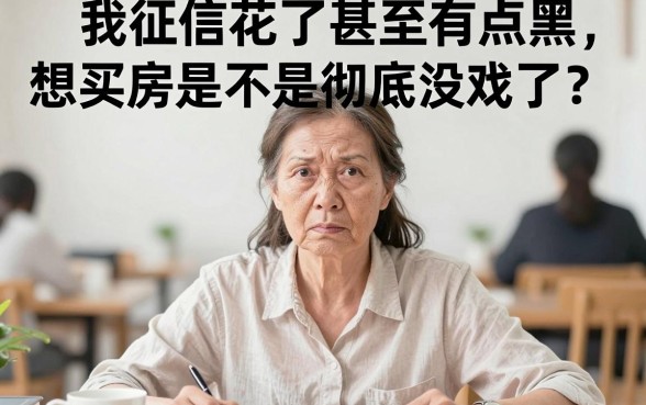 征信黑花了怎么样能买房吗，遴选五个不看负债查询的口子
