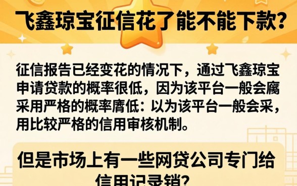 飞鑫琼宝征信花了能下吗，归集5个征信花了可以借钱的网贷app