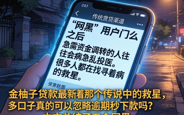 金柚子贷款最新口子，归纳5个网黑逾期下款app