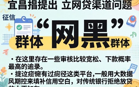 宜昌的网贷口子有哪里，概括五个网黑逾期下款平台