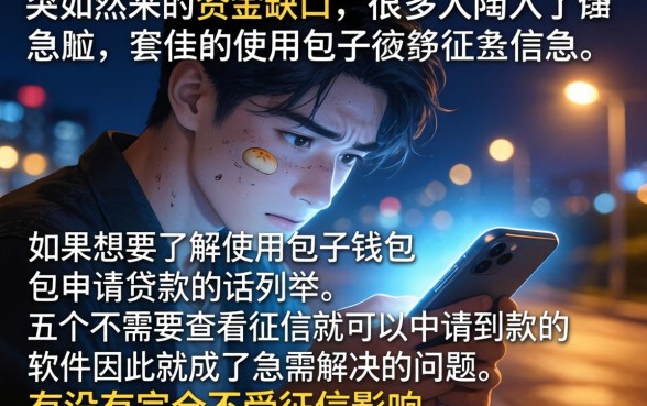 使用包子钱包申请贷款，枚举五个可以不看征信就能下款的软件