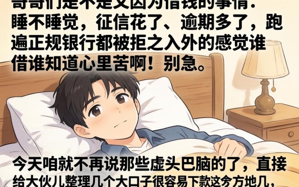 非常容易下款的大口子，概括5个逾期太多能下款口子