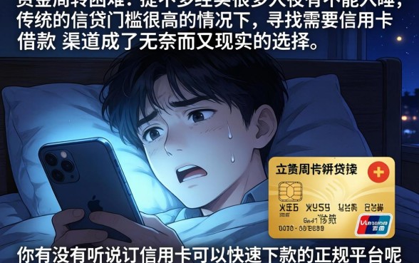 需要信用卡借款的口子，概括五个轻松贷10万的app
