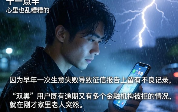 双黑逾期能下款的口子6，归纳五个网贷大口子轻松借平台
