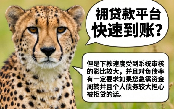 猎豹贷款能快速到账吗，热忱推荐5个无视负债快速下款长期网贷的平台