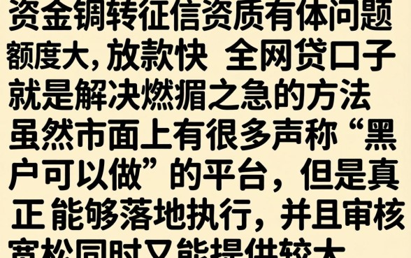 最新容易下款的网贷口子，概览五个黑户可以做大额贷款平台