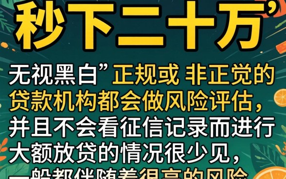 借款新口子秒下二十万，甄选五个无视黑花半夜下款的网贷平台