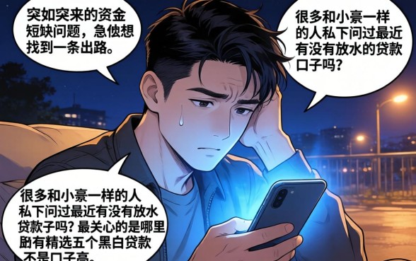 放水的贷款口子请教，精选五个黑白贷款不是高炮的平台