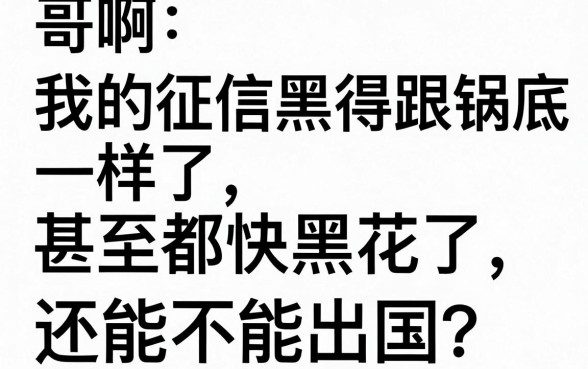 征信黑花了的能出国吗，陈列5个苏州黑户贷款5万的平台