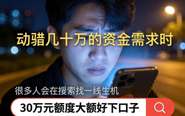 30万额度大额好下的口子，诚意推荐五个秒批无面签贷款软件