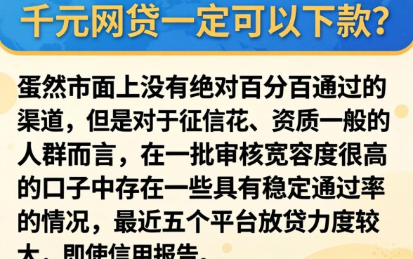 有哪些千元网贷是必下款的，鼎力推荐五个征信花居然都下款了的软件