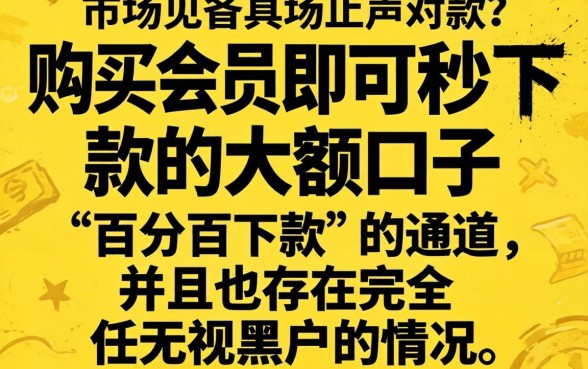 购买会员秒下款的大额口子，罗列5个无视黑户百分百下款口子