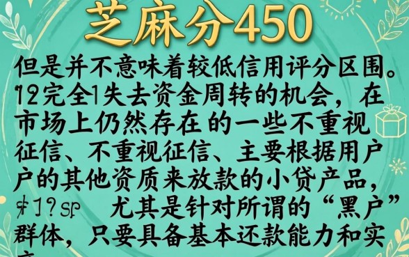 芝麻分450能办的小贷，详细阐述五个黑户成功获取大额贷款的平台