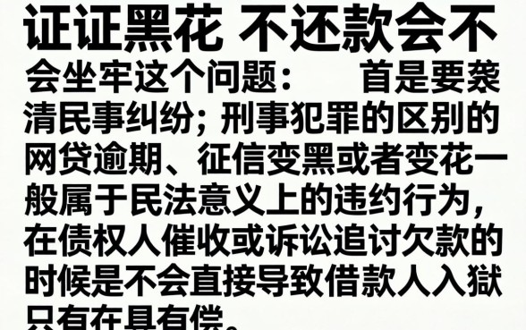 征信黑花了不还款会坐牢吗，细致阐述5个真正无视风控黑白的网贷口子