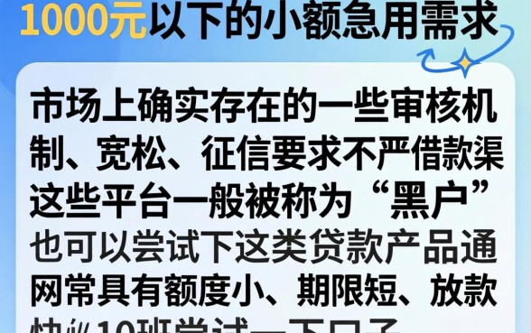 1000以下借款，陈列5个黑户下款app