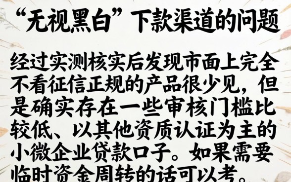 最近我下款的两个口子，概览5个无视黑白的网贷app