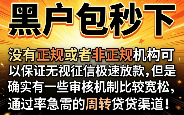 黑户包秒下的口子，概览5个11月能贷款的平台