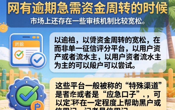网贷逾期了借的口子，详细阐述5个黑户成功获取大额贷款的口子