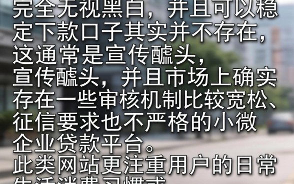 现在什么样的口子好下款，理出五个无视黑白的网贷平台