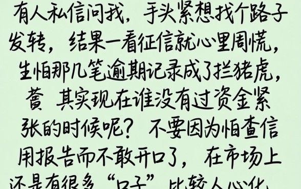 正规的分期平台有哪些软件，深入剖析5个714无视逾期秒下的平台