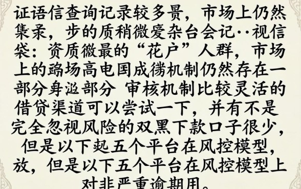 双黑可以下款的口子都有哪些，概括5个征信花了能网贷的平台