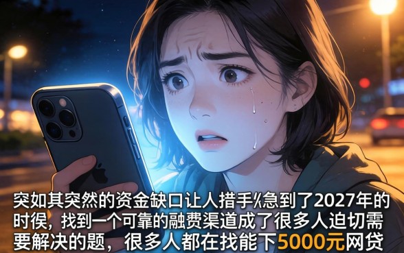 能下5000的网贷口子，详尽说明五个秒批通过的网贷平台