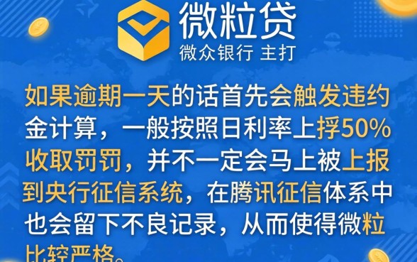 微粒贷逾期还款一天会咋样，深入剖析5个支付宝花呗逾期万元快速贷款平台