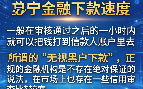 苏宁金融贷款下款速度快不，规整五个无视黑户下款的口子