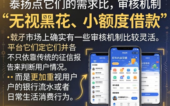 无视黑花了小借款口子，整合五个看银行流水的网贷软件