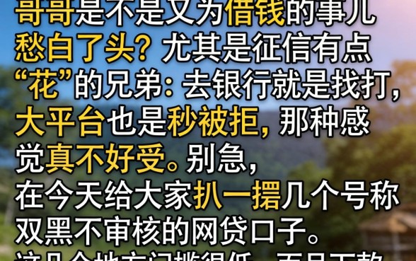口子声称双黑不审核，详细阐述五个高炮必下的新口子