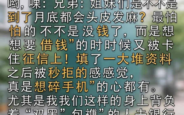 双黑能够下款的网贷口子，详细阐述五个不查流水的小额度贷款软件