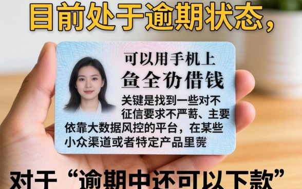 逾期中还有什么口子能下的，规整5个手机和身份证快速借钱平台