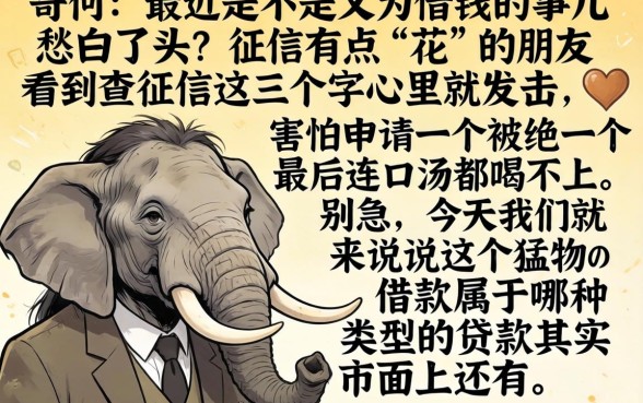 猛犸象借款属于什么口子，胪列五个借钱无视黑白100%秒下口子