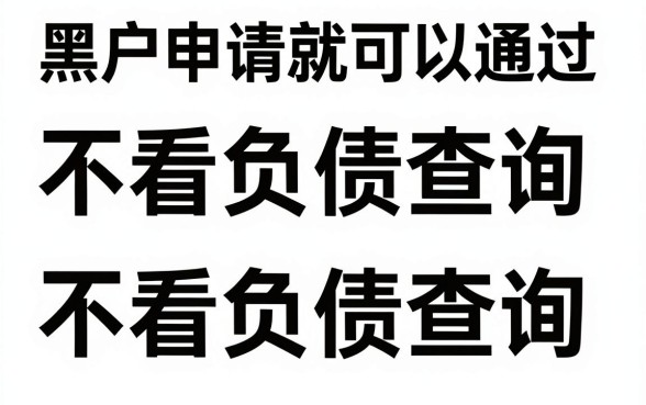 黑户申请就能通过的小贷，深入剖析五个不看负债查询的口子