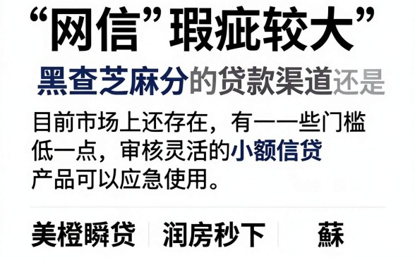 网黑能下的口子有哪些，陈列五个不用面签和芝麻分的贷款平台