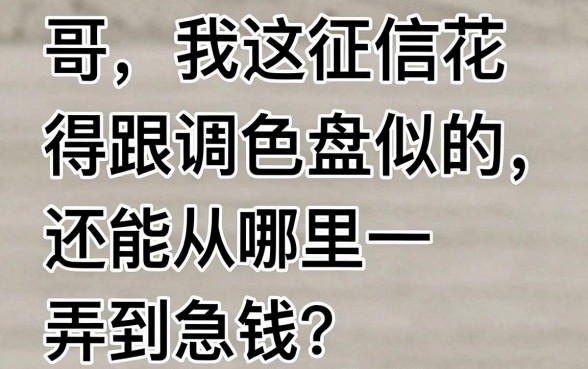 容易下的低门槛口子,理出5个黑户都能下的软件