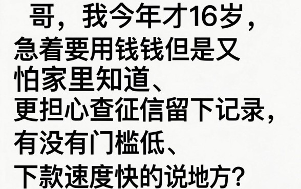 什么平台可以16岁借钱的，详细阐述五个大学生可以使用的app