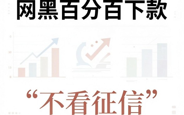 网黑百分百下款的口子,整合五个正规不看征信的小额贷款软件
