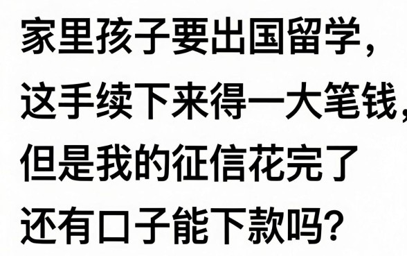 借款口子留学怎么办手续,胪列5个黑户好下款的网贷口子