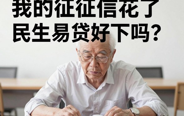 征信花了民生易贷好下吗,倾情分享五个真正不查征信的贷款平台