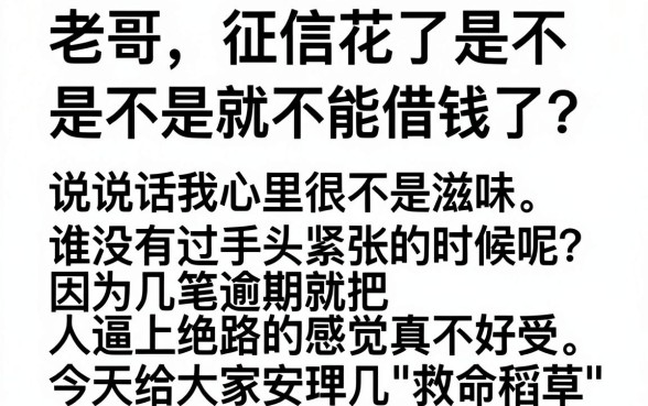 小额贷1000秒下18岁,梳理五个真正无视一切黑能下款口子
