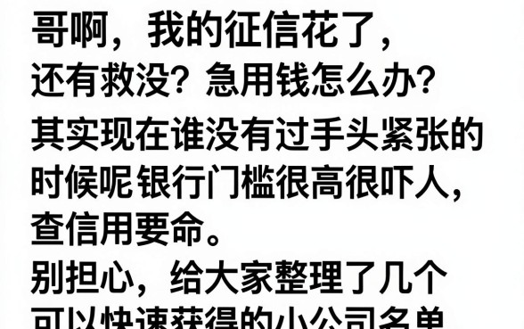 给前期能秒下的口子,归纳5个秒下700芝麻分贷款app