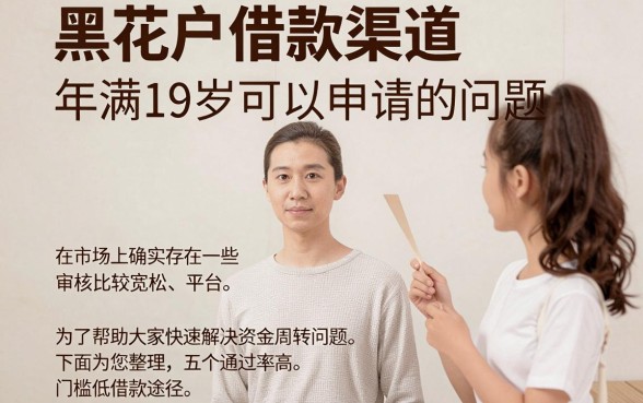 8个黑花口子大全，整理5个满19岁可以借款的app