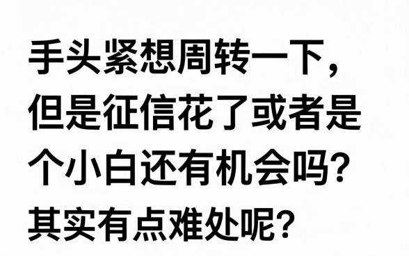 购买会员秒成功下款的口子，甄选五个不查征信好下款的网贷平台
