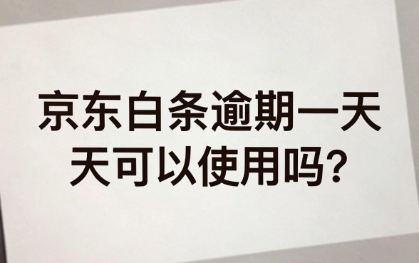 京东白条逾期一天还能用吗，陈列5个贷款不上诚信平台的口子
