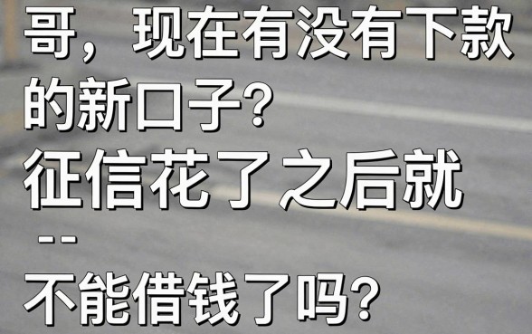 现在有下款的新口子吗，概括五个黑户可以做大额贷款软件