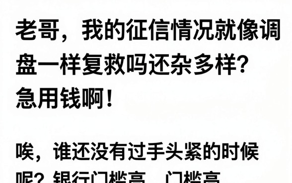 审批通过率好的网贷有哪些，归集五个11月能贷款的软件