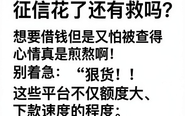 购买会员必下款的口子吗，枚举五个手机支付宝小额贷款的app