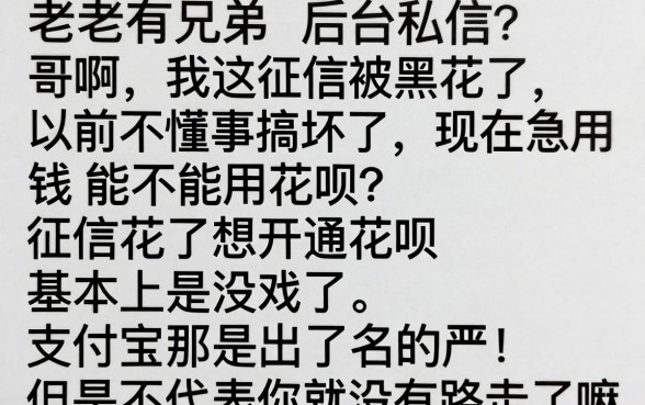 征信被黑花了能用花呗吗，筛选5个支付宝花呗逾期万元快速贷款口子